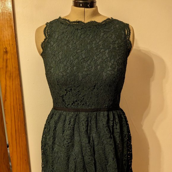 NWT Loft lace dress - Picture 1 of 7
